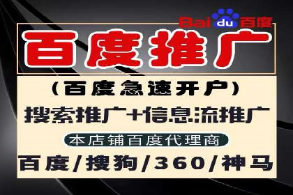 某企业SEM广告投放的ROI提升策略及效果展示